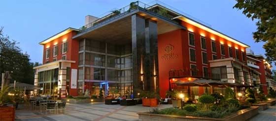 Divinus Fogászat Debrecen